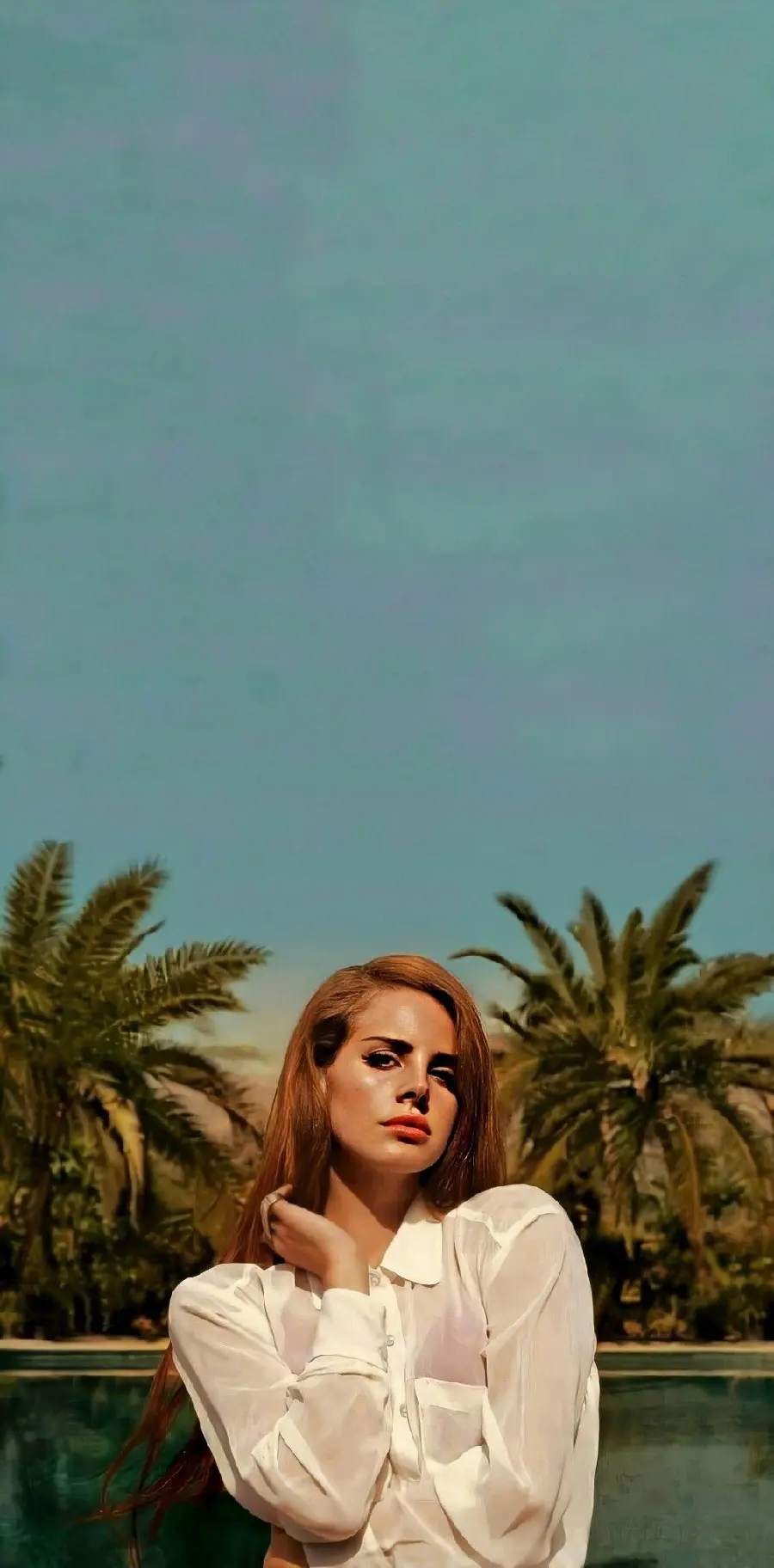 Lana Del Rey image during the Born to Die album