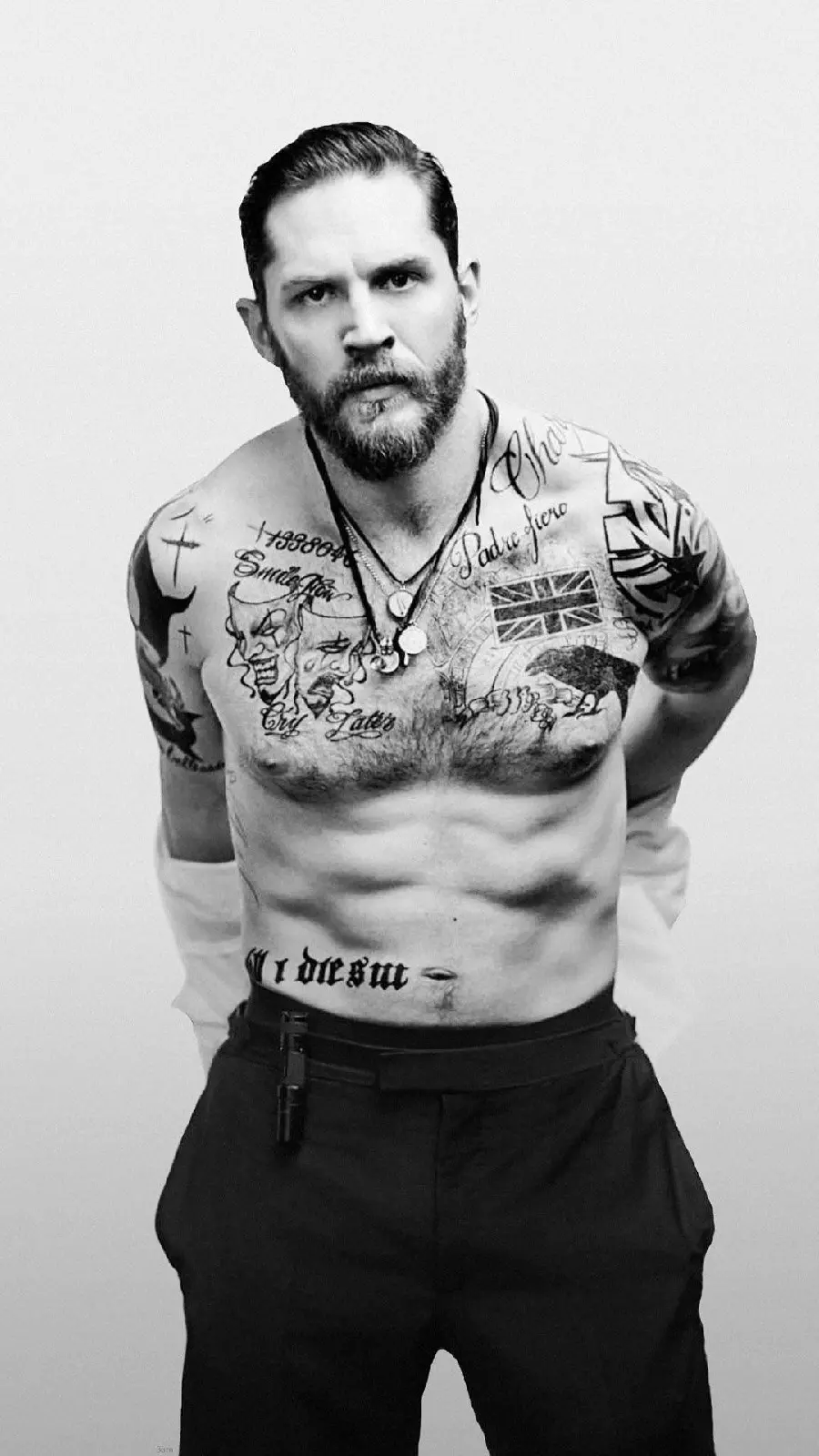 Tom Hardy's Profile and Background Photo