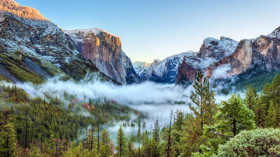 Background photo and wallpaper of flowing fog over mountains and trees of nature