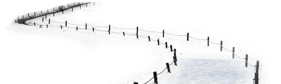Download Snowflakes PNG Photo Cut Out