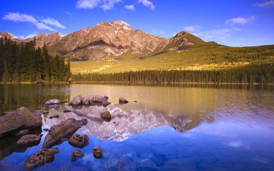 Wallpaper in pleasant quality of beautiful and beautiful nature for ideas and inspiration