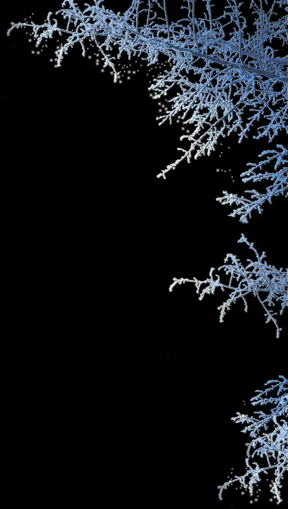 Winter theme PNG photo with frozen branches design for Photoshop