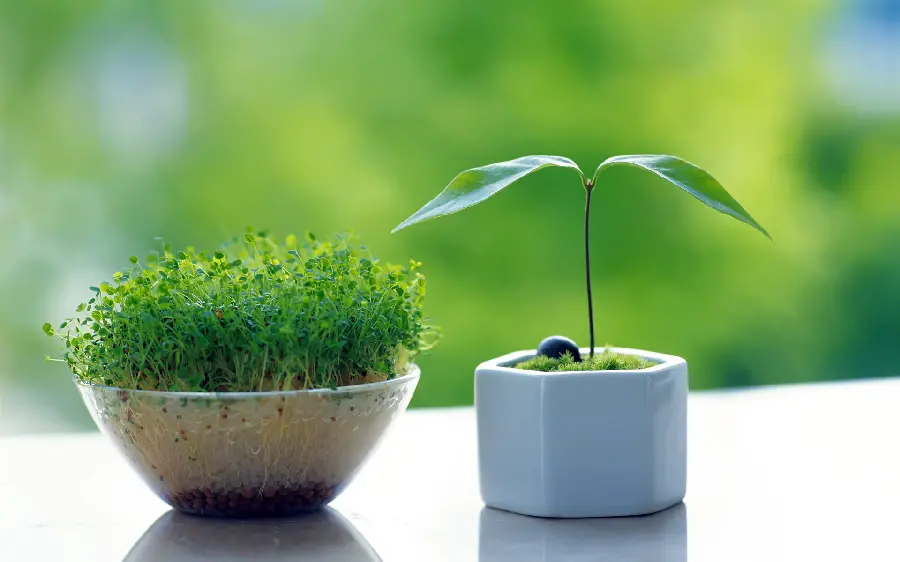 A very beautiful and spectacular background of fresh and energizing flowers and plants