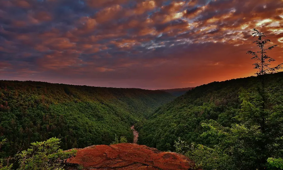 Images selected by users for the profile with the design and view of nature