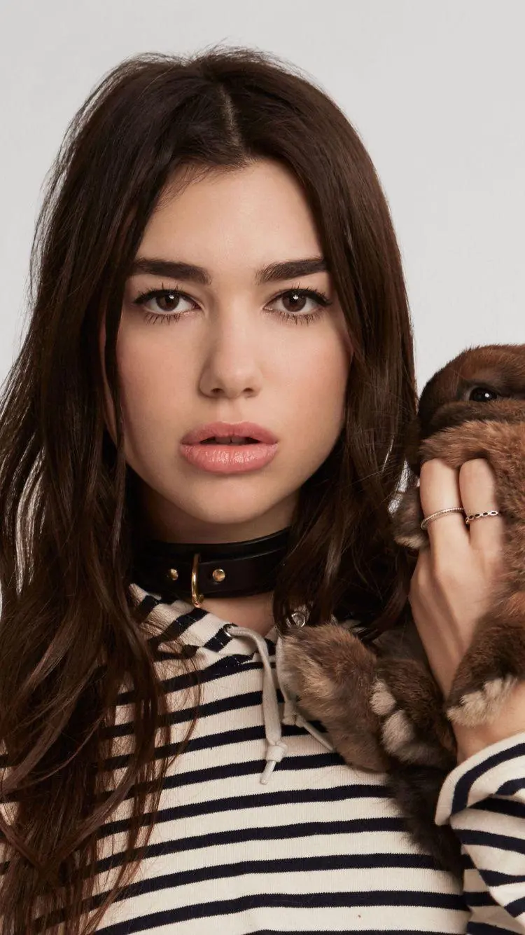 Collection of new Dua Lipa images for free from Johoreh