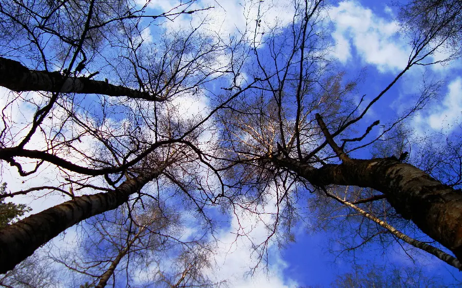 Beautiful wallpaper of a wonderful natural landscape in a blue sky background