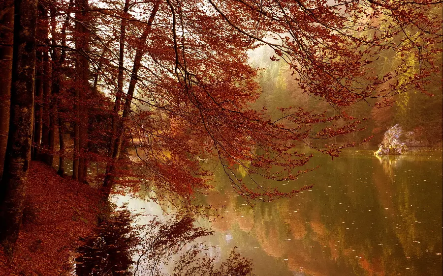A spectacular autumn wallpaper in dreamy nature