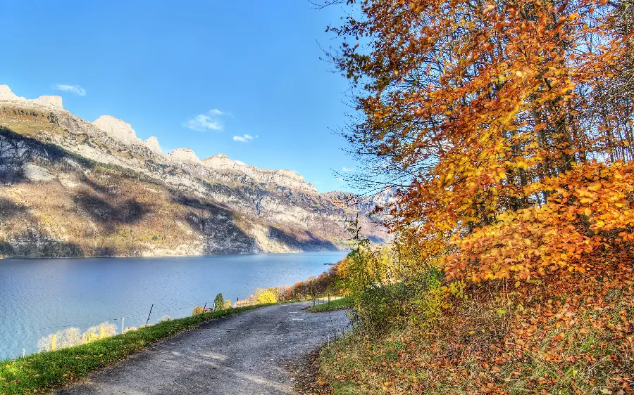 Beautiful nature profile photo with autumn trees