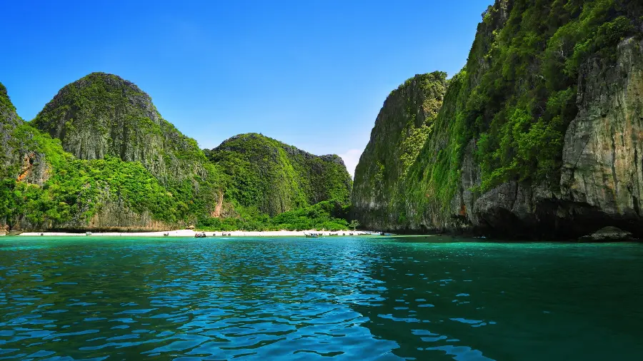 The most beautiful and attractive nature wallpaper designs for all types of laptops and computers