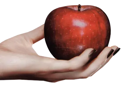 A PNG image of a real red apple cut out and without a wallpaper 