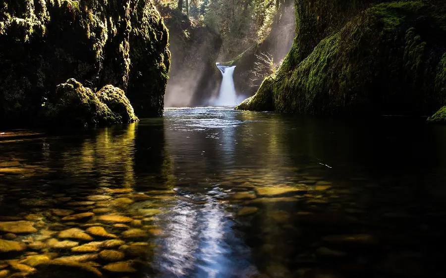 Nature and green river wallpaper for profile for free