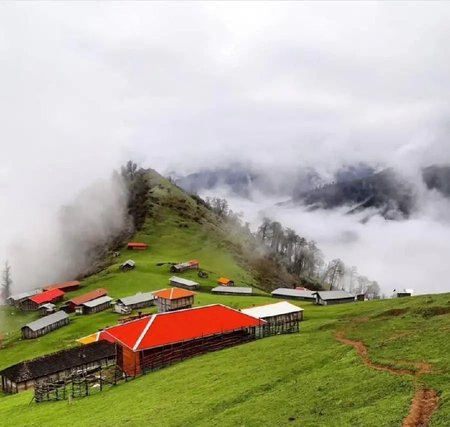 Amazing profile photo of the foggy weather of northern Iran
