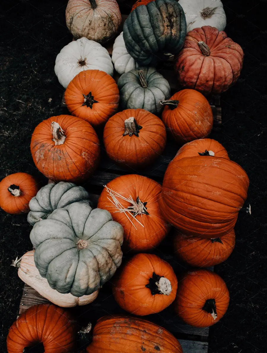 Photo of an agricultural market of fruits and vegetables such as pumpkins Sloth and all kinds of pumpkins