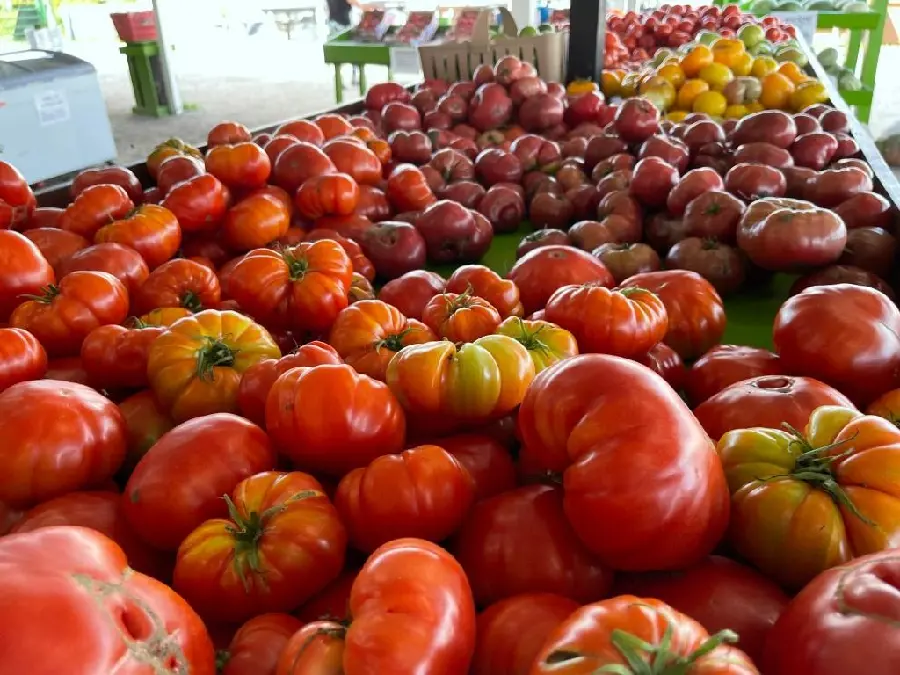 Photo of a shop selling all kinds of red and delicious fruits and vegetables