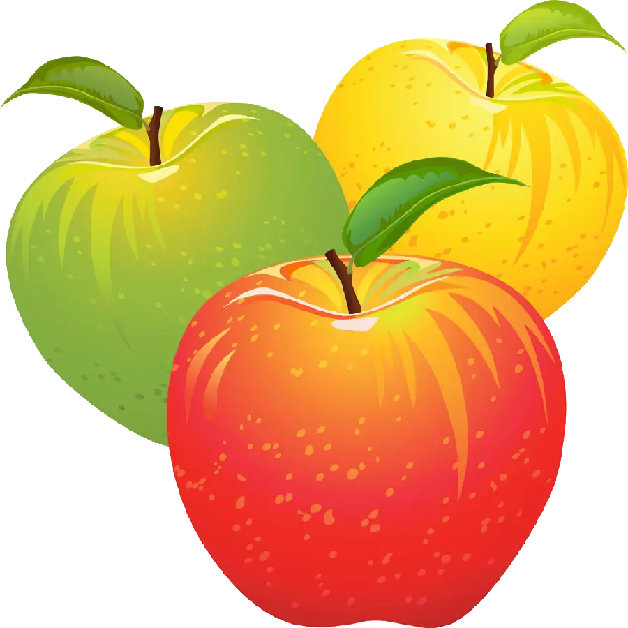 The most beautiful picture of delicious yellow, green and red apples in 4 seasons