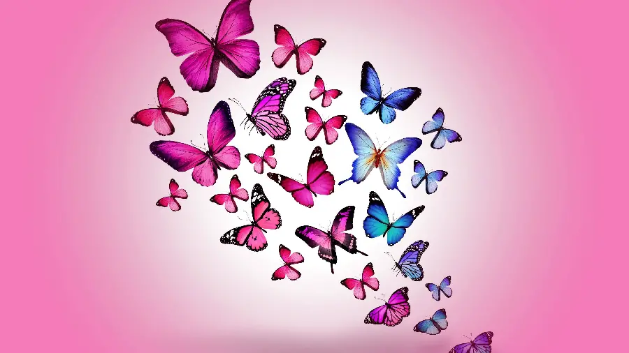 New 5K girly background with colorful butterflies on a cheerful pink background 