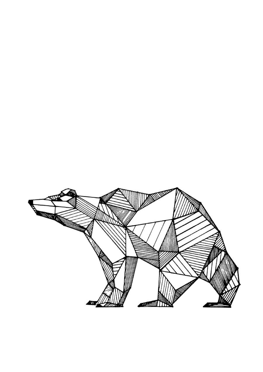 Cartoon bear PNG drawing photo without background