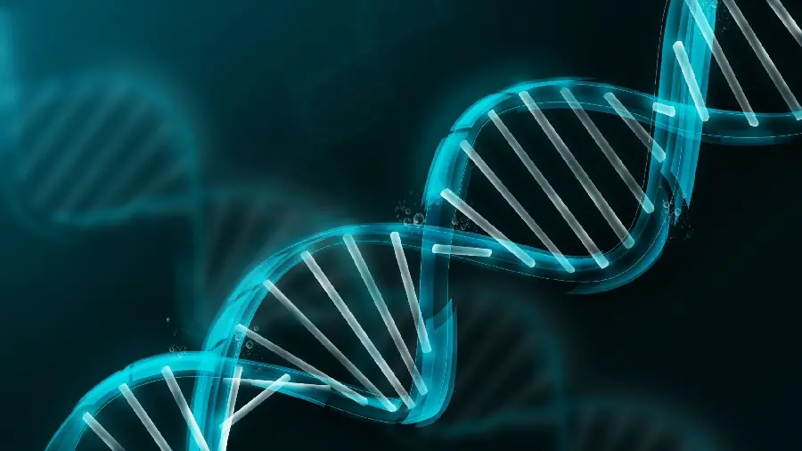 Photo of human cell DNA in high resolution