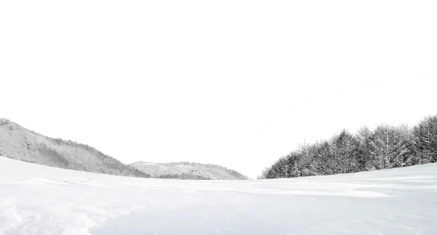 Winter landscape photo without background with PNG file