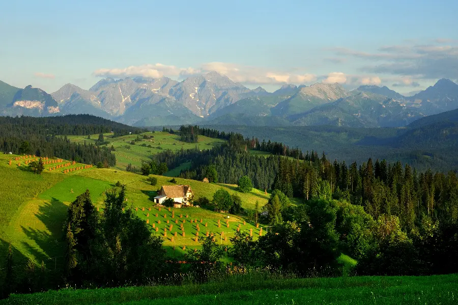 Interesting and attractive and cool photos of nature for printing boards