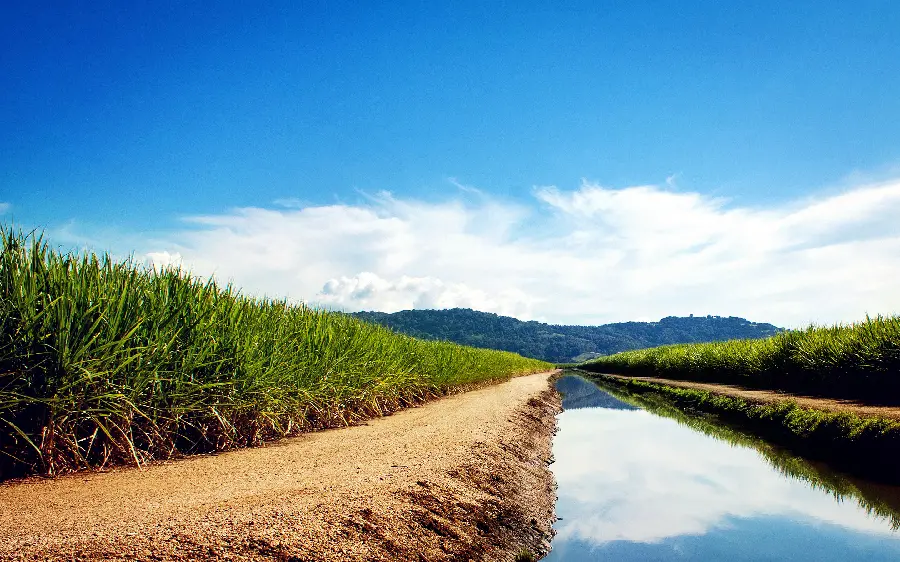 High-resolution and good-quality photo taken of beautiful and wonderful nature