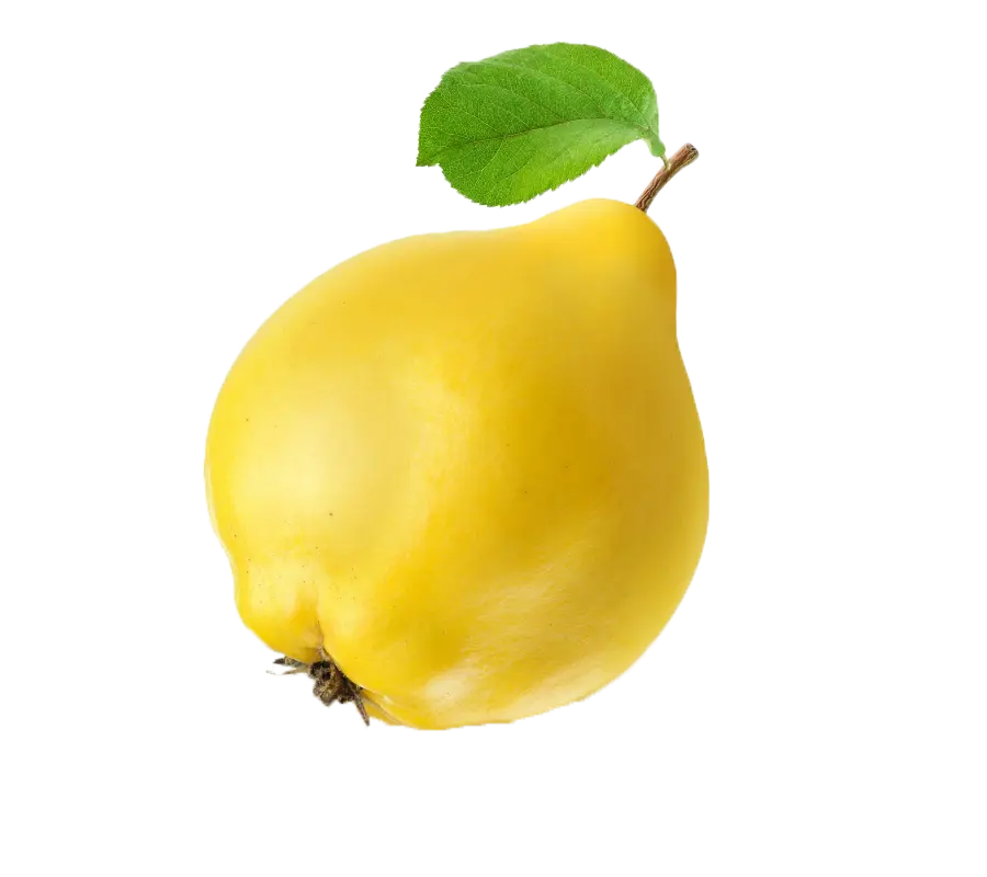 Free download of fruit images in PNG format without background