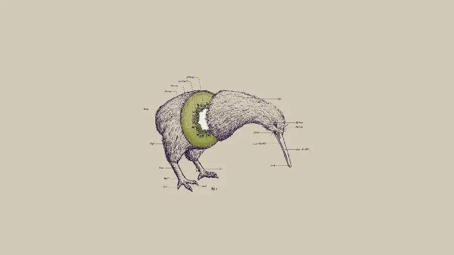 Graphic Illustration of Kiwi Bird in Charming Surrealism Style