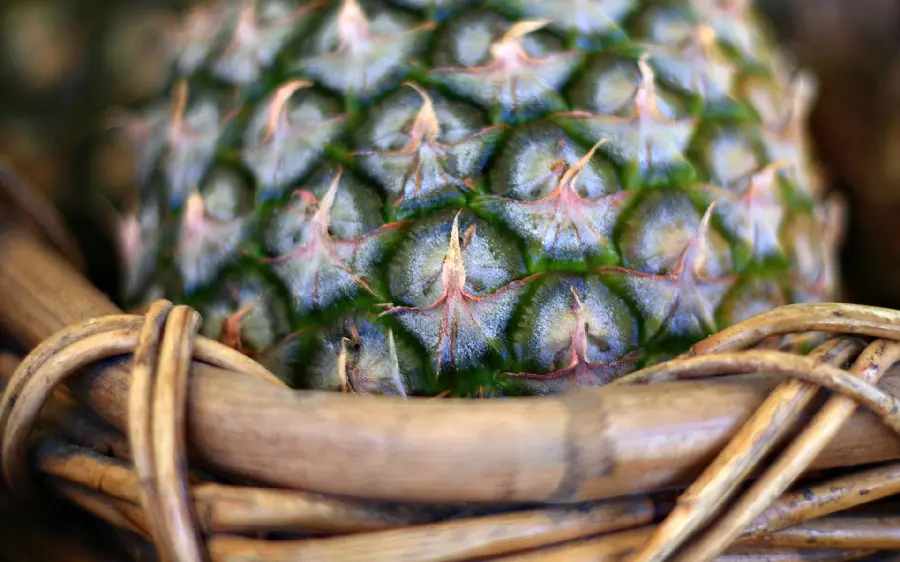 Pineapple wallpaper with artistic photography and design 2024 