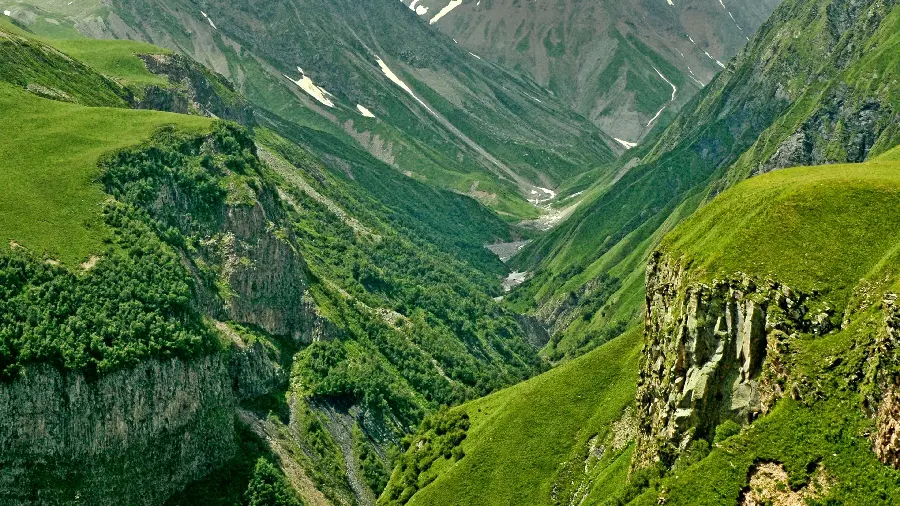 High quality green and interesting and spectacular nature background for Windows 11 and 12
