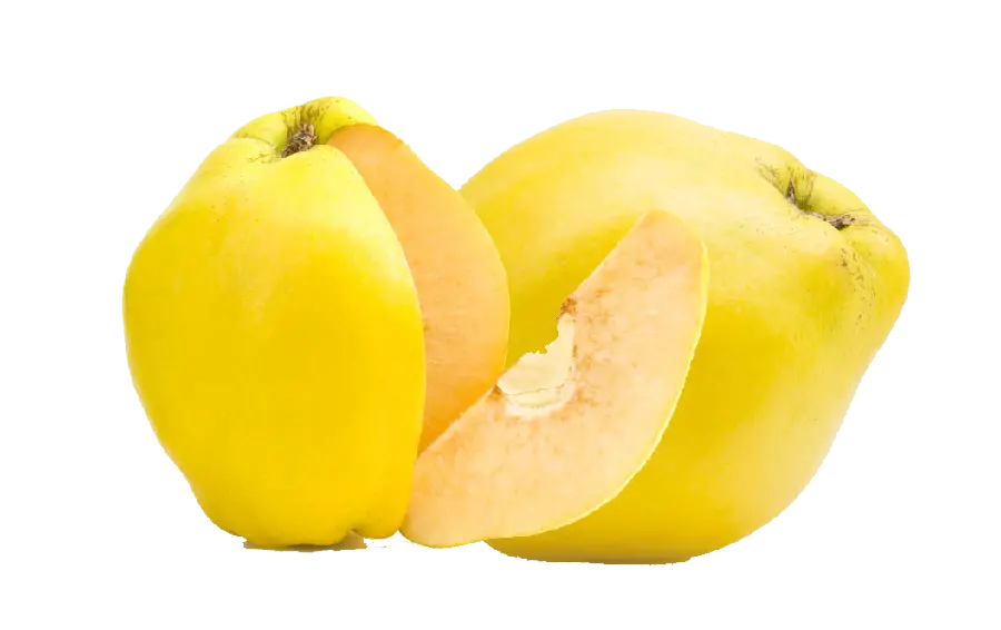 Download a fruit picture cut out in PNG format for free