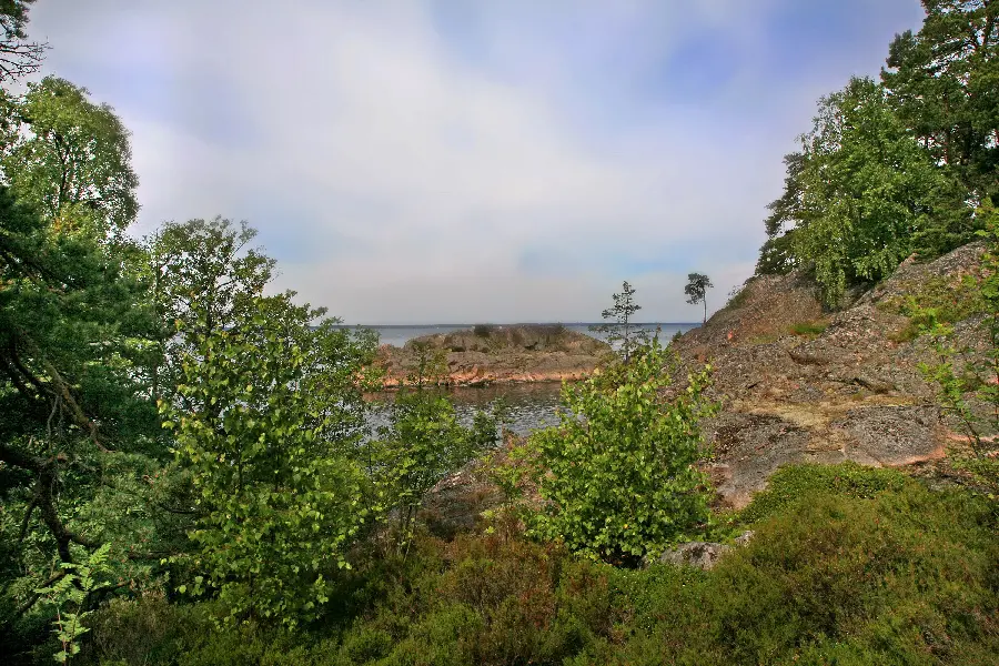 Lush landscape with blue sky for nature tourism for the thirteenth day of the door 