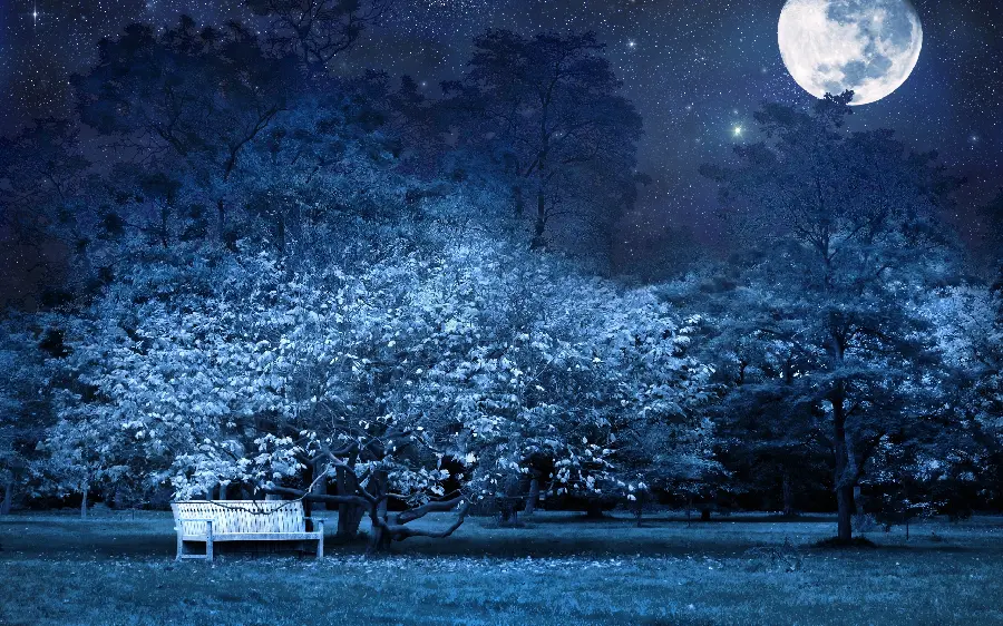 Wallpaper photo of the night sky and a dreamy landscape for wall poster printing