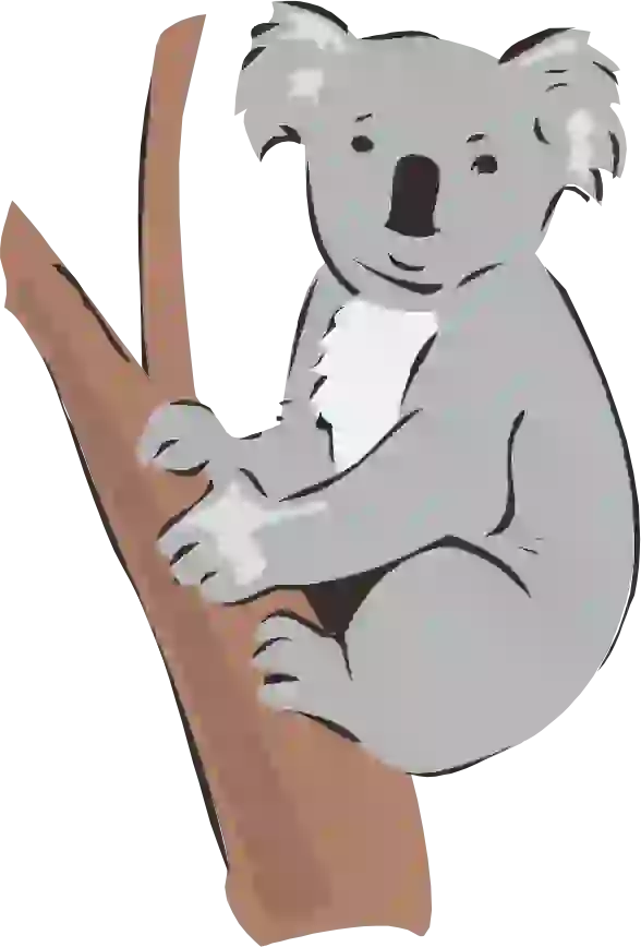 The latest PNG image of a koala on a tree branch 