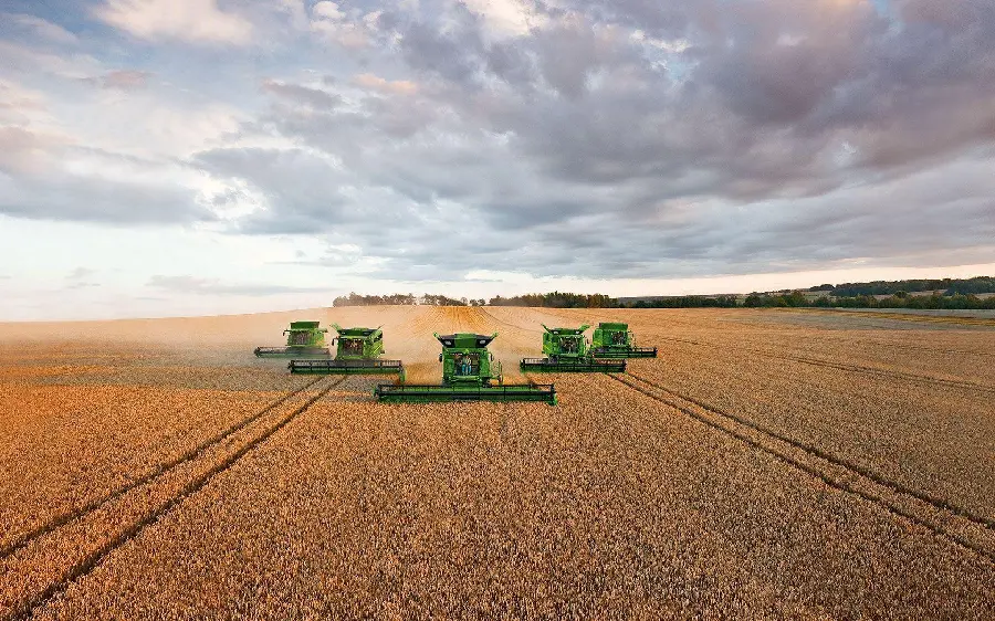 Photo of several tractors in a huge field of grain cultivation in the form of 