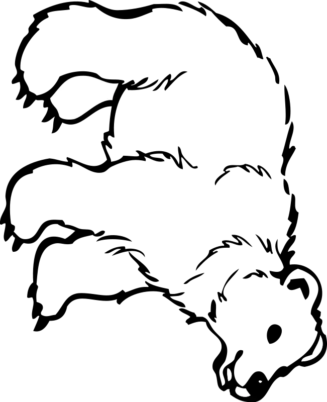 PNG drawing image of a childish and cartoon bear