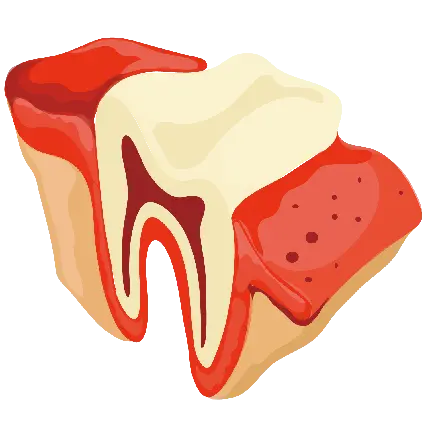 Dentist and dental care cutout PNG images free download