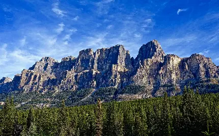 Unique wallpapers and backgrounds collection with special themes
