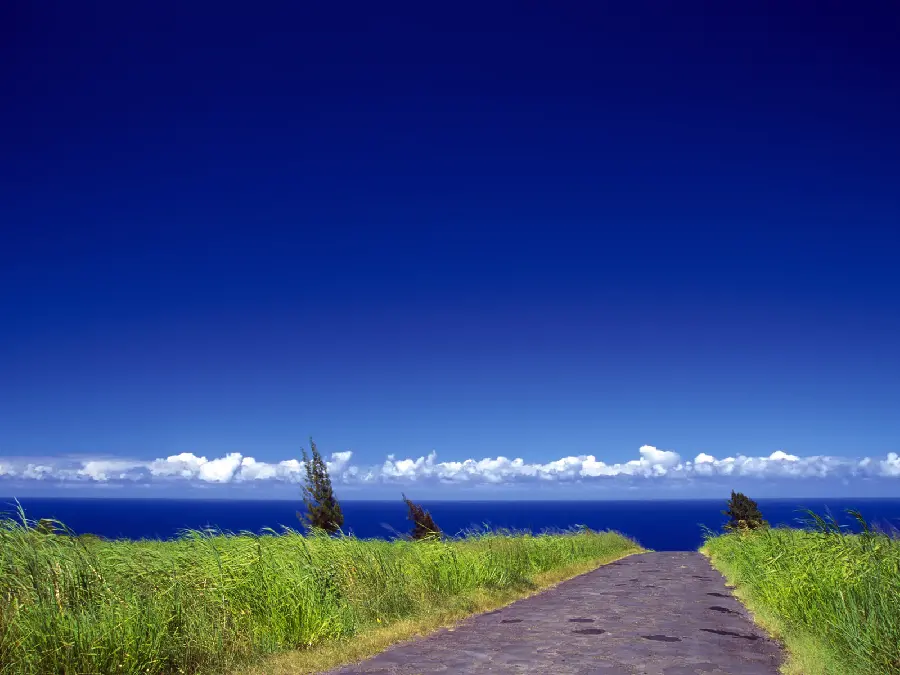 Road