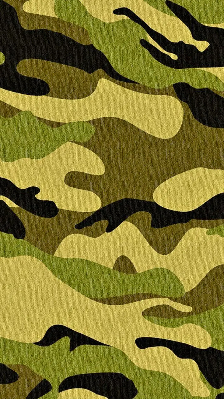 Light and forest military camouflage