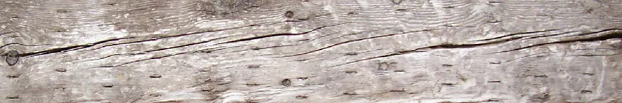 Free Wood Timber Image Download