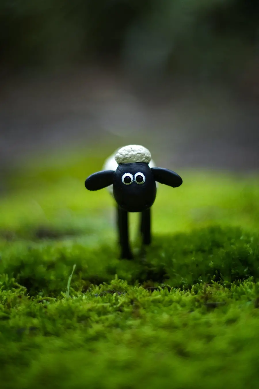 Cute Cartoon Sheep Profile Picture