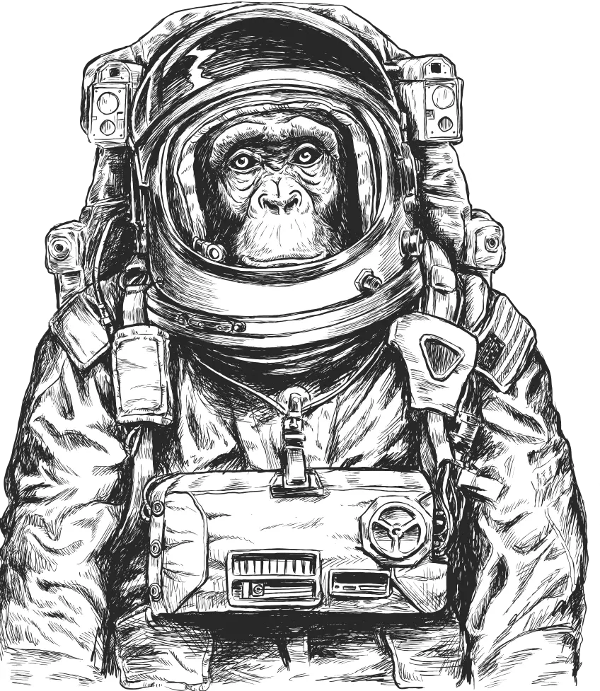 Astronaut Chimpanzee Painting Without Background In PNG Format Free Download