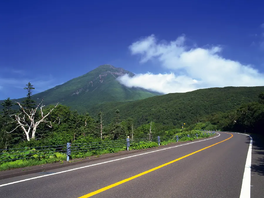 Very beautiful photo with the theme of road and path