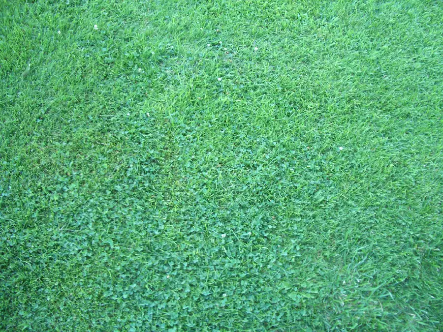 Photos of natural grass textures and textures of the earth and natural features