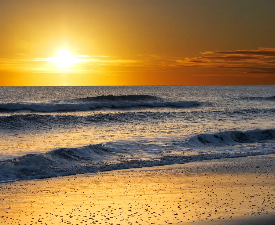 Nature photo gallery