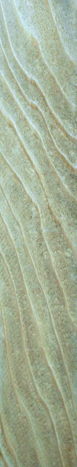 Download free photo of wood plank texture