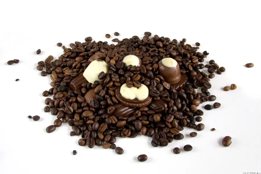 Cocoa and Chocolate