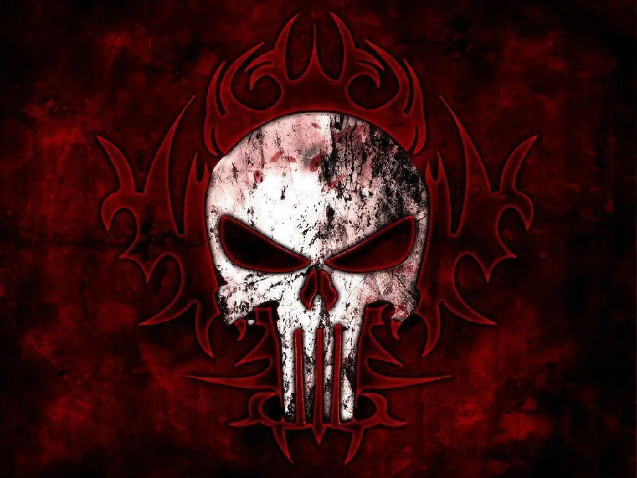Amazing Punisher Logo Wallpaper in Full Hd Quality