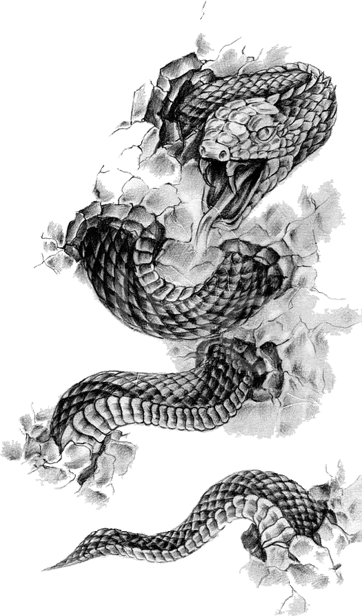 Cool Snake Image for Tattoo and Tattoo PNG