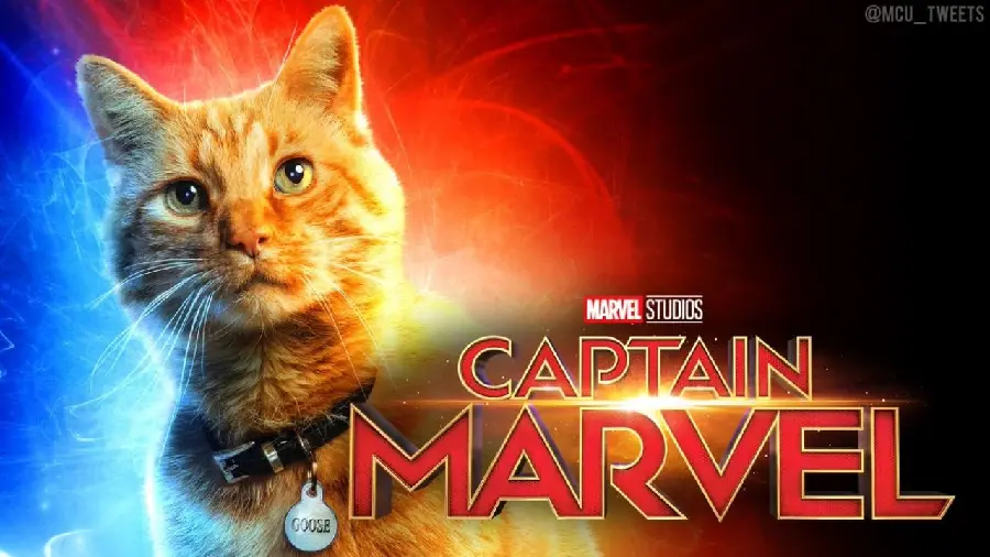 Captain Marvel Goose